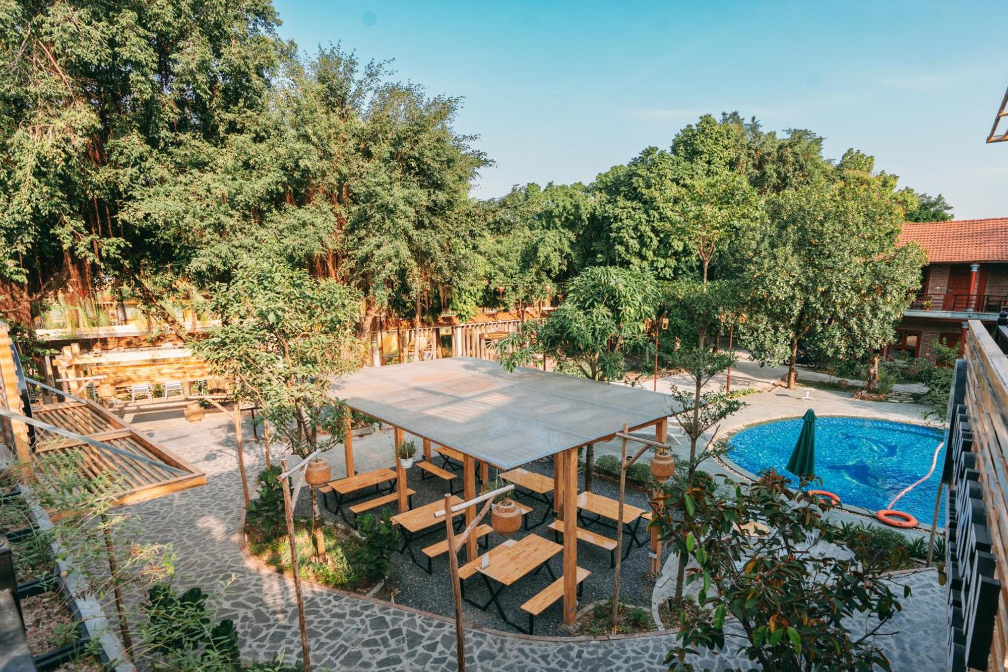 Tam Coc Lavender Homestay Ninh Binh Exterior photo